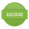 Agilidad